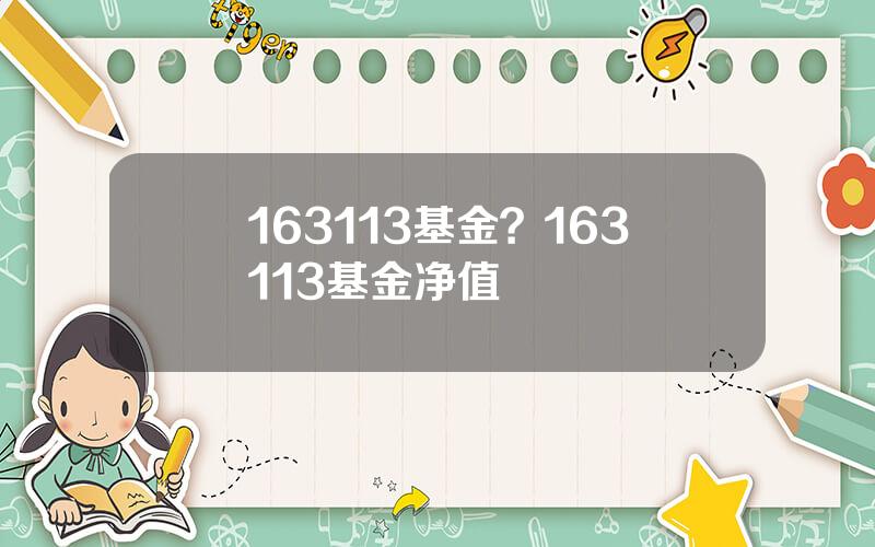 163113基金？163113基金净值