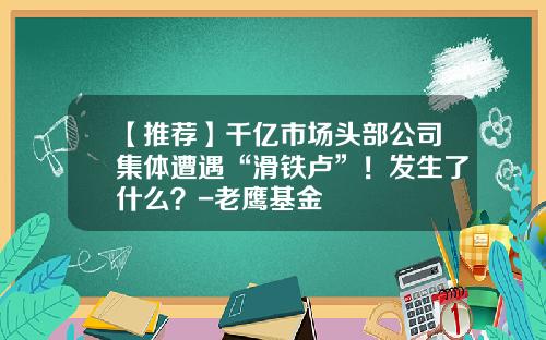 【推荐】千亿市场头部公司集体遭遇“滑铁卢”！发生了什么？-老鹰基金