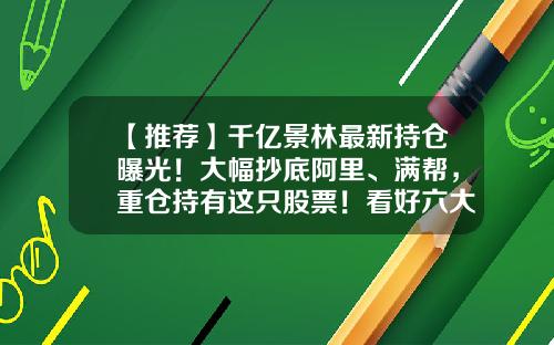 【推荐】千亿景林最新持仓曝光！大幅抄底阿里、满帮，重仓持有这只股票！看好六大方向-阿里重仓基金