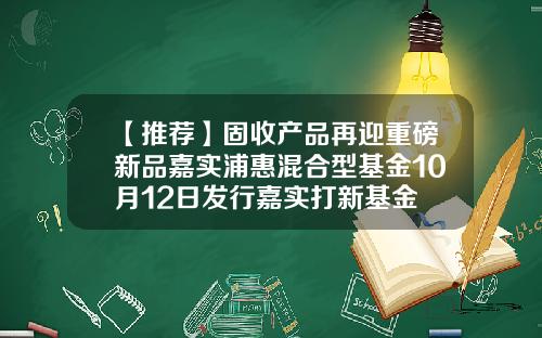 【推荐】固收产品再迎重磅新品嘉实浦惠混合型基金10月12日发行嘉实打新基金