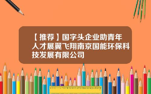 【推荐】国字头企业助青年人才展翼飞翔南京国能环保科技发展有限公司