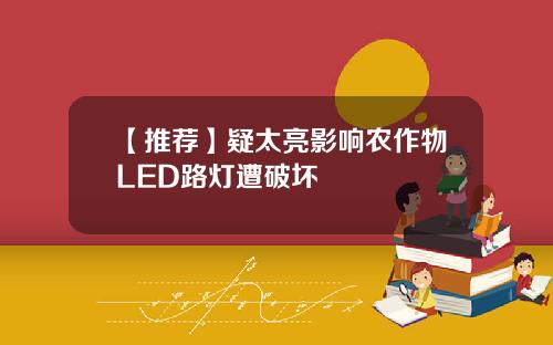 【推荐】疑太亮影响农作物LED路灯遭破坏