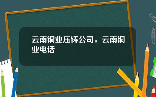 云南铜业压铸公司，云南铜业电话