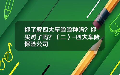 你了解四大车险险种吗？你买对了吗？（二）-四大车险保险公司