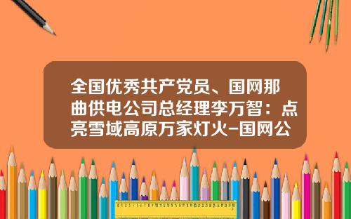 全国优秀共产党员、国网那曲供电公司总经理李万智：点亮雪域高原万家灯火-国网公司总经理