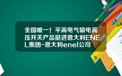 全国唯一！平高电气输电高压开关产品挺进意大利ENEL集团-意大利enel公司