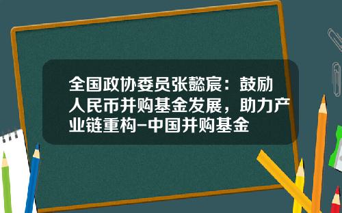 全国政协委员张懿宸：鼓励人民币并购基金发展，助力产业链重构-中国并购基金