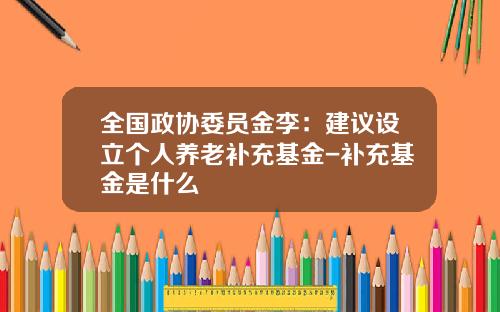 全国政协委员金李：建议设立个人养老补充基金-补充基金是什么