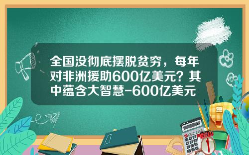 全国没彻底摆脱贫穷，每年对非洲援助600亿美元？其中蕴含大智慧-600亿美元等于多少rmb