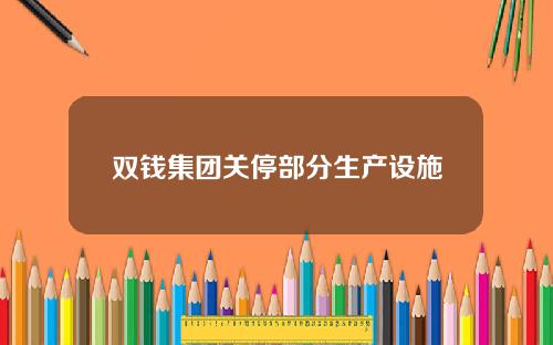 双钱集团关停部分生产设施