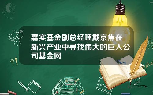 嘉实基金副总经理戴京焦在新兴产业中寻找伟大的巨人公司基金网