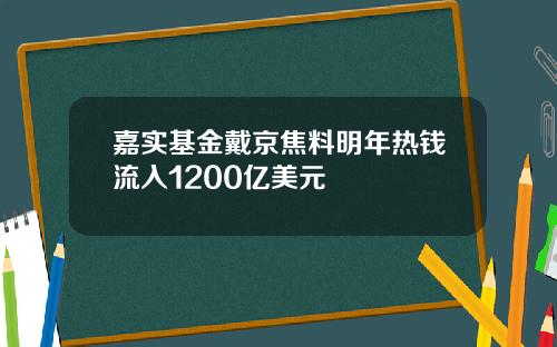 嘉实基金戴京焦料明年热钱流入1200亿美元