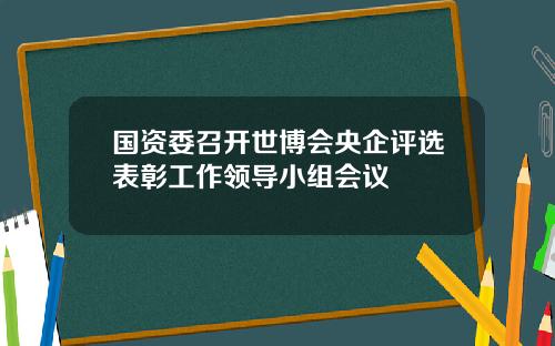 国资委召开世博会央企评选表彰工作领导小组会议
