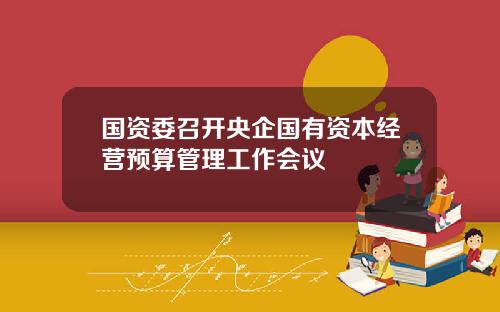 国资委召开央企国有资本经营预算管理工作会议