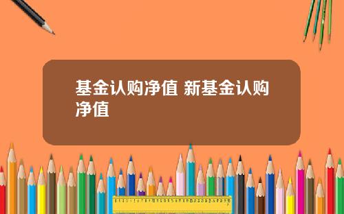 基金认购净值 新基金认购净值