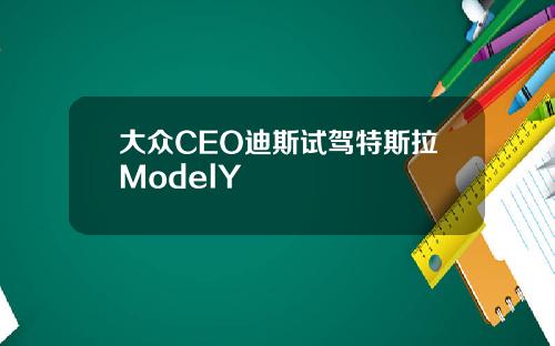 大众CEO迪斯试驾特斯拉ModelY