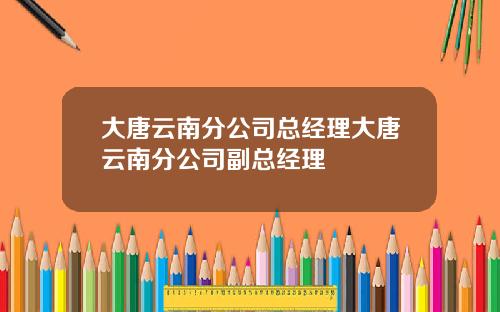 大唐云南分公司总经理大唐云南分公司副总经理