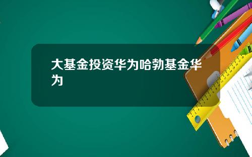 大基金投资华为哈勃基金华为
