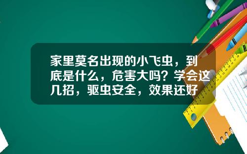 家里莫名出现的小飞虫，到底是什么，危害大吗？学会这几招，驱虫安全，效果还好