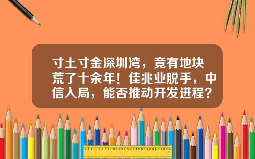 寸土寸金深圳湾，竟有地块荒了十余年！佳兆业脱手，中信入局，能否推动开发进程？-佳兆业证券公司