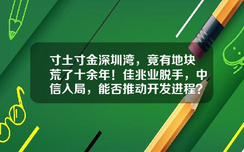 寸土寸金深圳湾，竟有地块荒了十余年！佳兆业脱手，中信入局，能否推动开发进程？-深圳市红树湾资产管理有限公司