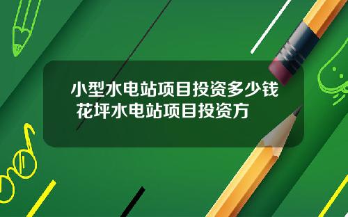 小型水电站项目投资多少钱 花坪水电站项目投资方