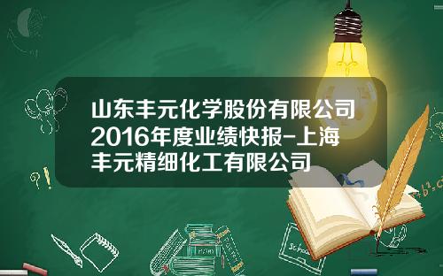 山东丰元化学股份有限公司2016年度业绩快报-上海丰元精细化工有限公司