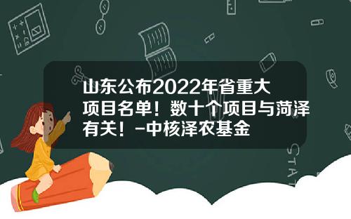 山东公布2022年省重大项目名单！数十个项目与菏泽有关！-中核泽农基金