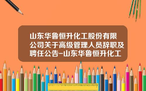 山东华鲁恒升化工股份有限公司关于高级管理人员辞职及聘任公告-山东华鲁恒升化工股份有限公司董事长