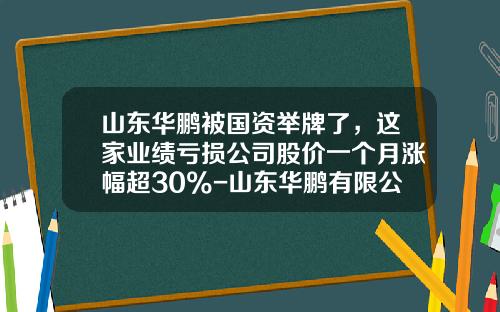山东华鹏被国资举牌了，这家业绩亏损公司股价一个月涨幅超30%-山东华鹏有限公司