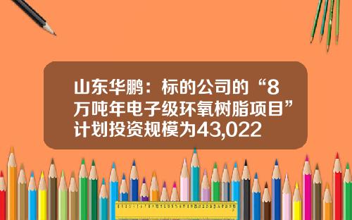 山东华鹏：标的公司的“8万吨年电子级环氧树脂项目”计划投资规模为43,022万元-山东华鹏有限公司