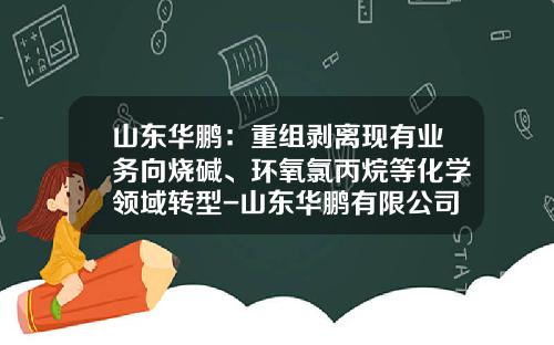 山东华鹏：重组剥离现有业务向烧碱、环氧氯丙烷等化学领域转型-山东华鹏有限公司