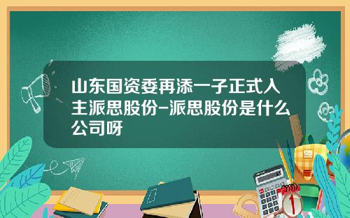 山东国资委再添一子正式入主派思股份-派思股份是什么公司呀