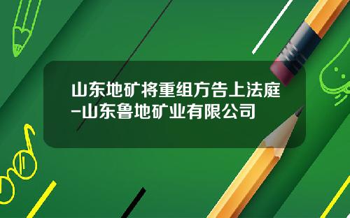 山东地矿将重组方告上法庭-山东鲁地矿业有限公司
