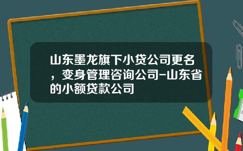 山东墨龙旗下小贷公司更名，变身管理咨询公司-山东省的小额贷款公司
