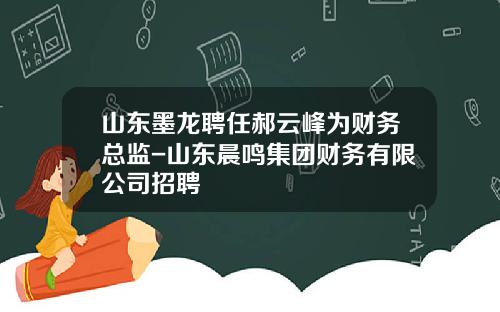 山东墨龙聘任郝云峰为财务总监-山东晨鸣集团财务有限公司招聘