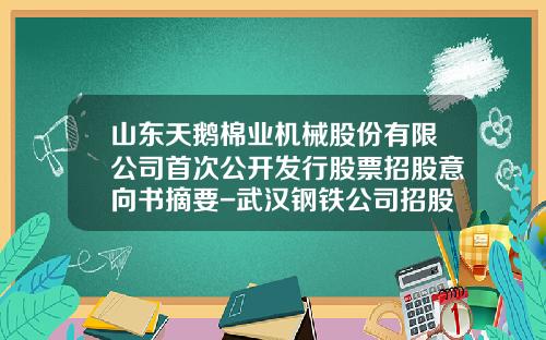 山东天鹅棉业机械股份有限公司首次公开发行股票招股意向书摘要-武汉钢铁公司招股说明