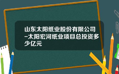山东太阳纸业股份有限公司-太阳宏河纸业项目总投资多少亿元