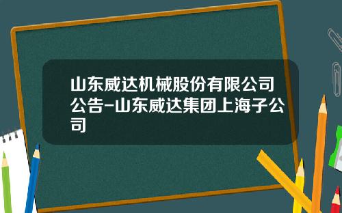 山东威达机械股份有限公司公告-山东威达集团上海子公司