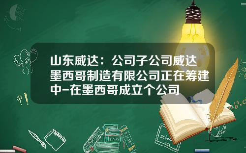 山东威达：公司子公司威达墨西哥制造有限公司正在筹建中-在墨西哥成立个公司
