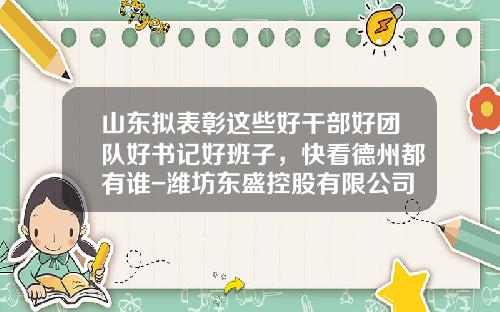 山东拟表彰这些好干部好团队好书记好班子，快看德州都有谁-潍坊东盛控股有限公司转让公告
