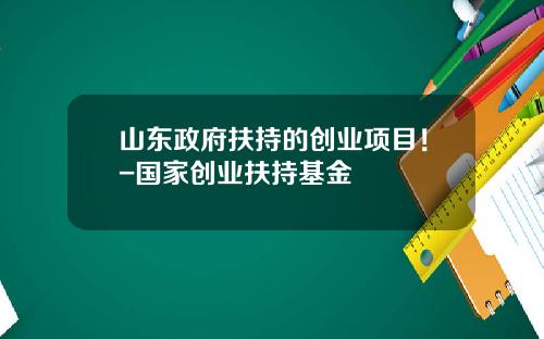 山东政府扶持的创业项目！-国家创业扶持基金