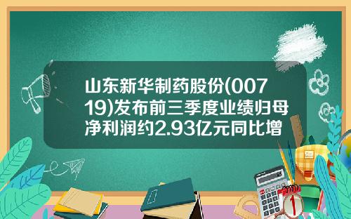 山东新华制药股份(00719)发布前三季度业绩归母净利润约2.93亿元同比增加2.84%-山东新华制药股份有限公司2012年报