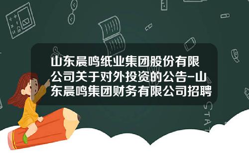 山东晨鸣纸业集团股份有限公司关于对外投资的公告-山东晨鸣集团财务有限公司招聘