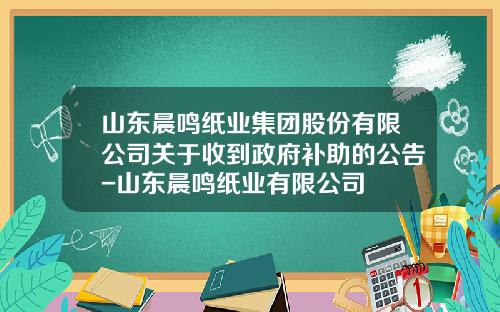 山东晨鸣纸业集团股份有限公司关于收到政府补助的公告-山东晨鸣纸业有限公司