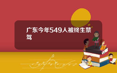 广东今年549人被终生禁驾