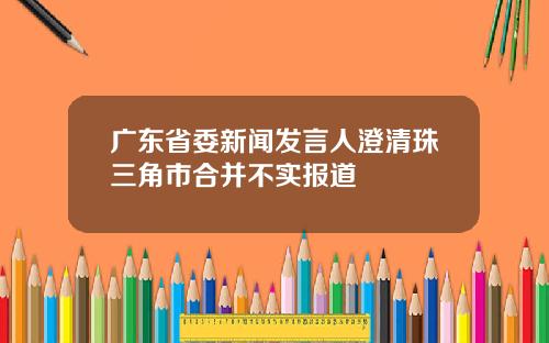 广东省委新闻发言人澄清珠三角市合并不实报道