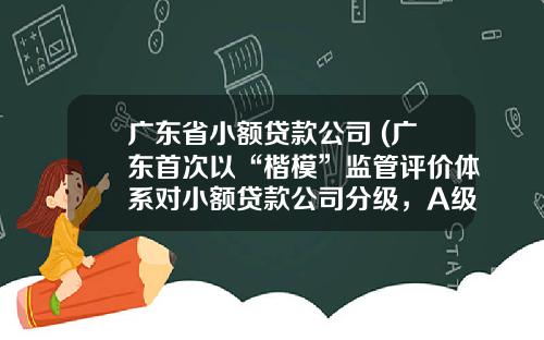 广东省小额贷款公司 (广东首次以“楷模”监管评价体系对小额贷款公司分级，A级以上公司44家)