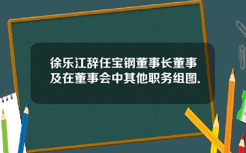 徐乐江辞任宝钢董事长董事及在董事会中其他职务组图.