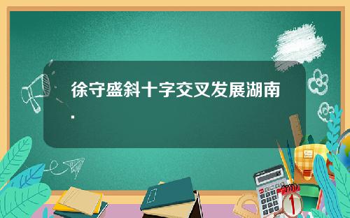 徐守盛斜十字交叉发展湖南.